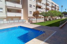 Apartamento en Lloret de Mar - Vivalidays Alicia - Fenals - LLoret de