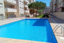 Apartamento en Lloret de Mar - Vivalidays Alicia - Fenals - LLoret de