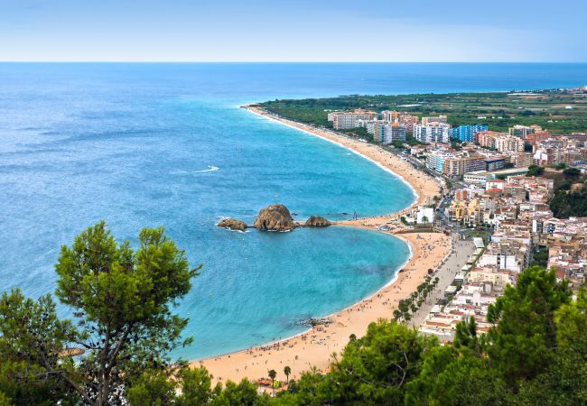 Apartamento en Blanes - Vivalidays Rosa - Blanes - Costa Brava