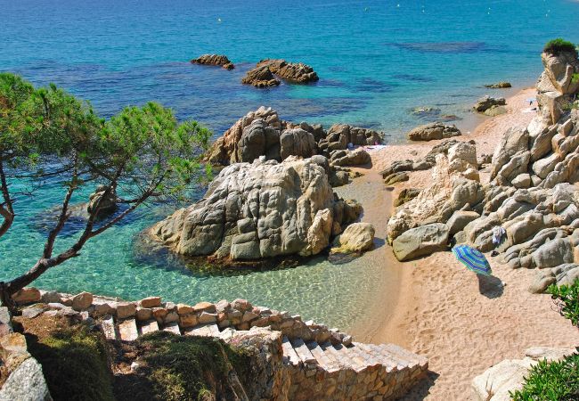 Apartamento en Lloret de Mar - Vivalidays Sandra - LLoret de Mar - Costa B