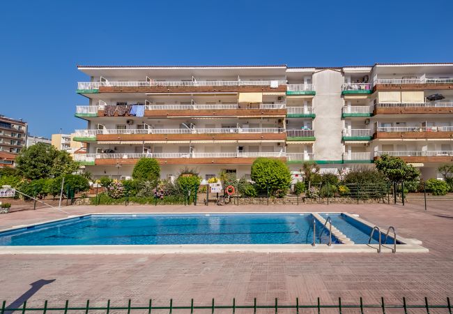 Apartamento en Blanes - Vivalidays Edurne - Blanes - Costa Brava Apartamento en Blanes - Vivalidays Edurne - Blanes - Costa Brava