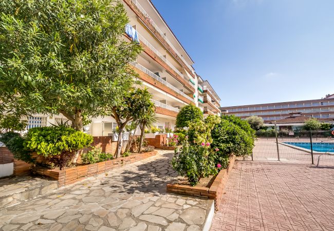 Apartamento en Blanes - Vivalidays Edurne - Blanes - Costa Brava Apartamento en Blanes - Vivalidays Edurne - Blanes - Costa Brava