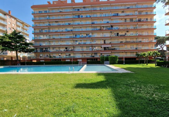 Apartamento en Santa Susana - Vivalidays Luis - Santa Susanna Apartamento en Santa Susana - Vivalidays Luis - Santa Susanna