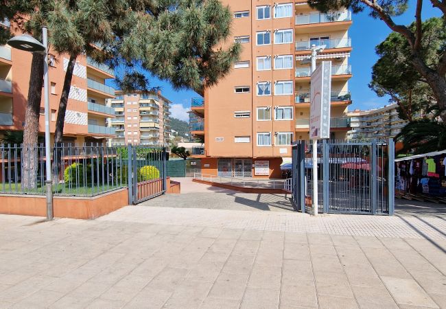 Apartamento en Santa Susana - Vivalidays Luis - Santa Susanna Apartamento en Santa Susana - Vivalidays Luis - Santa Susanna