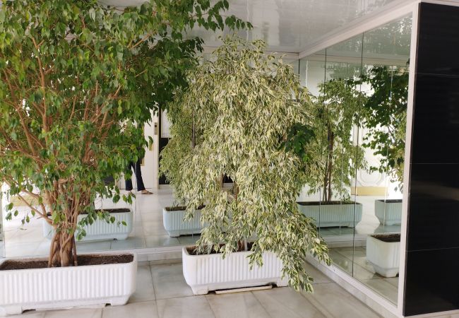 Estudio en Lloret de Mar - Vivalidays Lara - Fenals - LLoret de Mar Estudio en Lloret de Mar - Vivalidays Lara - Fenals - LLoret de Mar