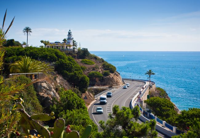 Apartamento en Calella - Vivalidays Albert - Calella