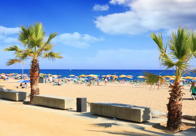 Apartamento en Calella - Vivalidays Albert - Calella