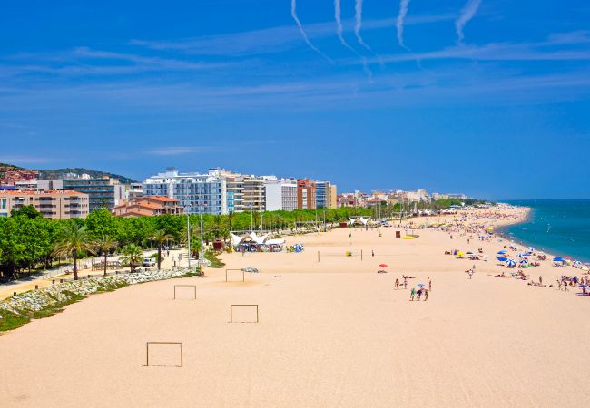 Apartamento en Calella - Vivalidays Albert - Calella