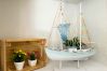 Apartamento en Calella - Vivalidays Albert - Calella