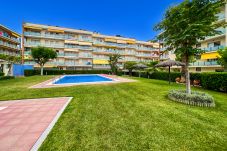 Apartamento en Lloret de Mar - Vivalidays Elia - Fenals - LLoret de Mar