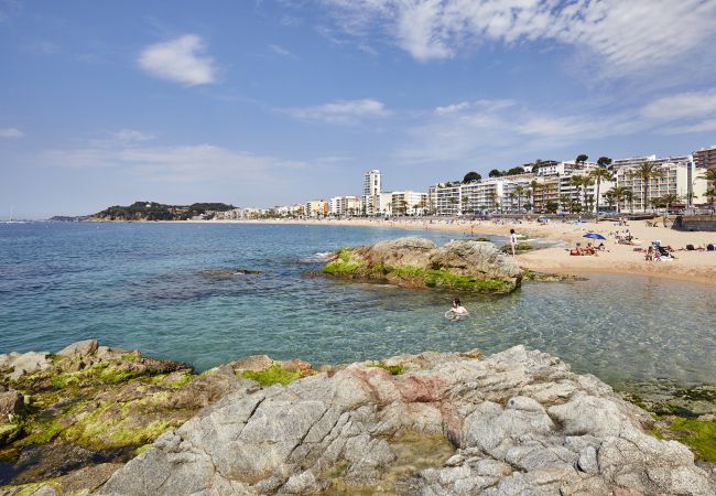 Apartamento en Lloret de Mar - Vivalidays Francesco -  LLoret de Mar - Costa Bra Apartamento en Lloret de Mar - Vivalidays Francesco -  LLoret de Mar - Costa Bra