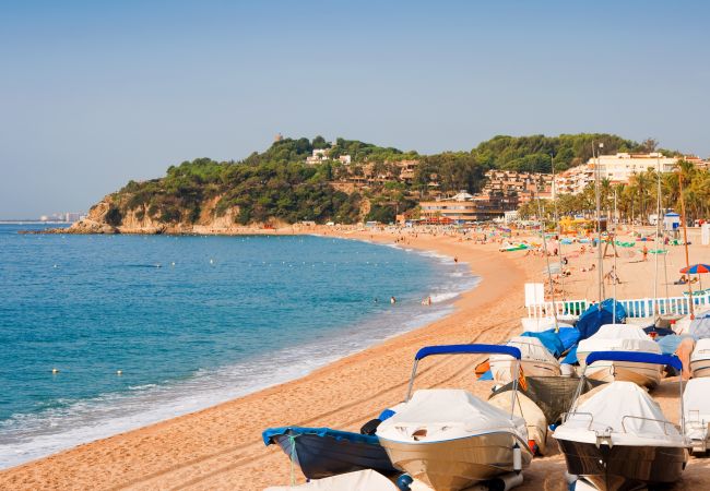 Apartament en Lloret de Mar - Vivalidays Alicia - Fenals - LLoret de Apartament en Lloret de Mar - Vivalidays Alicia - Fenals - LLoret de