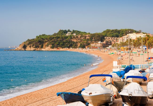 Apartament en Lloret de Mar - Vivalidays Kaylo - Fenals - LLoret de Mar Apartament en Lloret de Mar - Vivalidays Kaylo - Fenals - LLoret de Mar