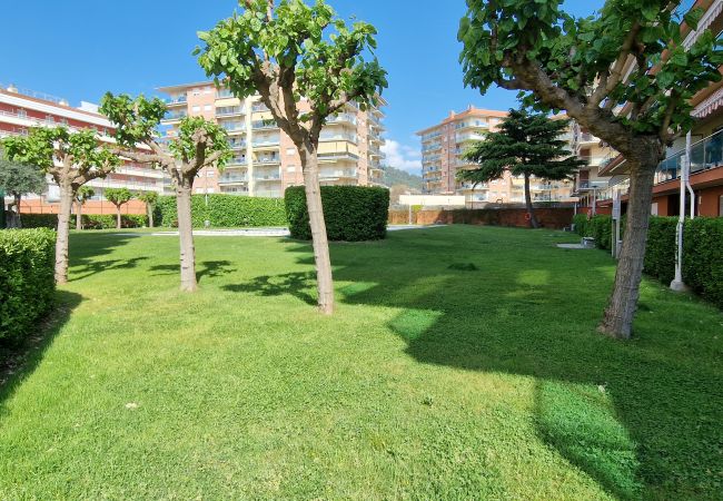 Apartament en Santa Susana - Vivalidays Lora - Santa Susanna Apartament en Santa Susana - Vivalidays Lora - Santa Susanna