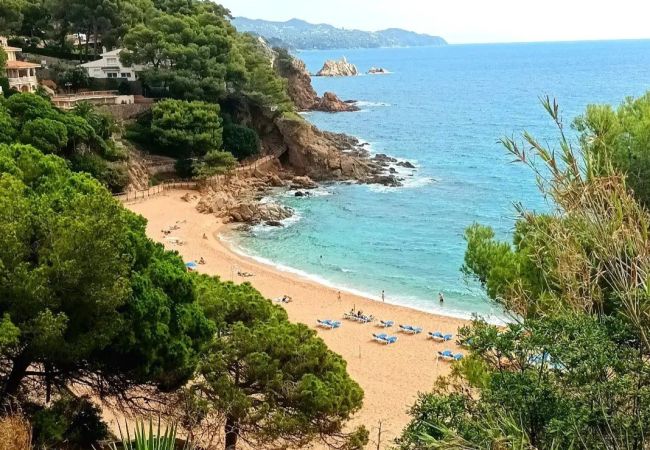 Apartament en Blanes - Vivalidays Montserrat - Blanes Apartament en Blanes - Vivalidays Montserrat - Blanes
