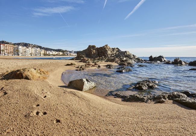 Apartament en Lloret de Mar - Vivalidays Francesco -  LLoret de Mar - Costa Bra Apartament en Lloret de Mar - Vivalidays Francesco -  LLoret de Mar - Costa Bra