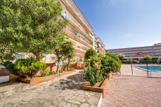 Ferienwohnung in Blanes - Vivalidays Edurne - Blanes - Venta 