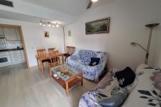 Apartment-Wohnung in Lloret de Mar - Balcones Lloret