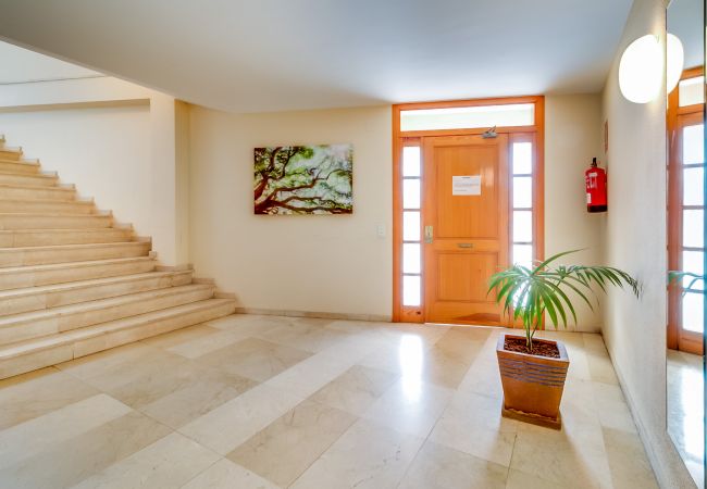 Ferienwohnung in Palafolls - Vivalidays Elisabet Ferienwohnung in Palafolls - Vivalidays Elisabet
