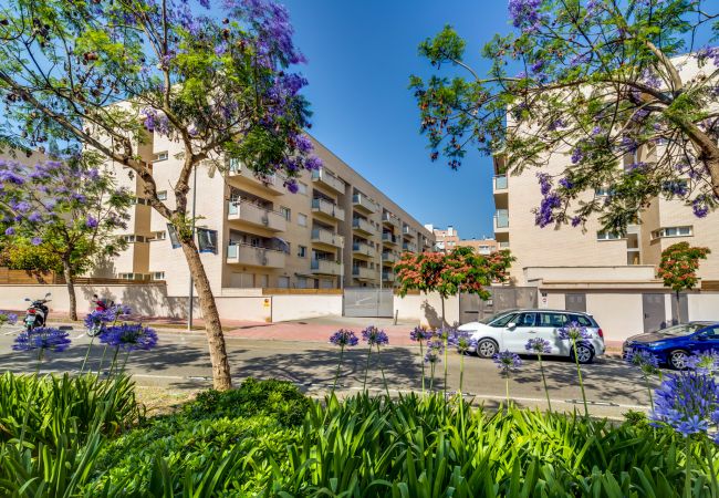 Apartment in Lloret de Mar - Vivalidays Alicia - Fenals - LLoret de Apartment in Lloret de Mar - Vivalidays Alicia - Fenals - LLoret de