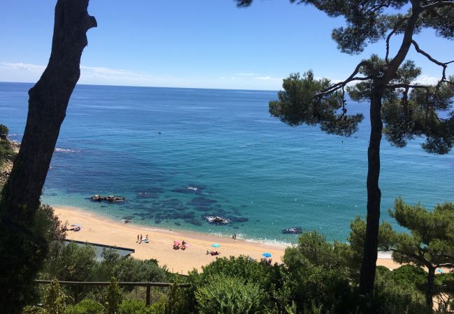 Apartment in Lloret de Mar - Vivalidays Alicia - Fenals - LLoret de Apartment in Lloret de Mar - Vivalidays Alicia - Fenals - LLoret de