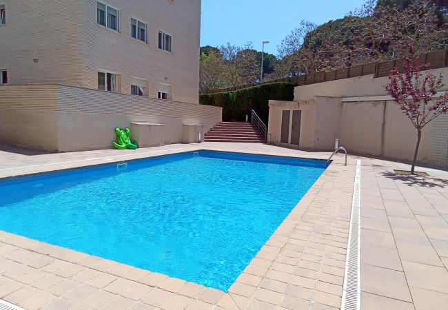 Apartment in Lloret de Mar - Vivalidays Alicia - Fenals - LLoret de Apartment in Lloret de Mar - Vivalidays Alicia - Fenals - LLoret de