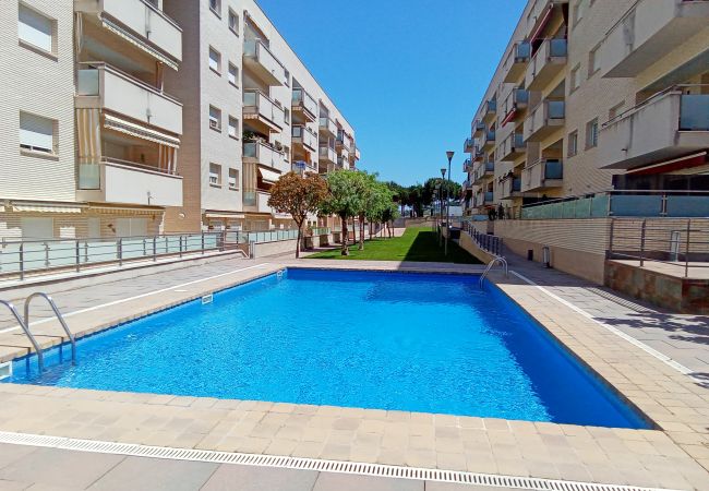 Apartment in Lloret de Mar - Vivalidays Alicia - Fenals - LLoret de Apartment in Lloret de Mar - Vivalidays Alicia - Fenals - LLoret de