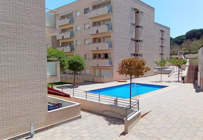 Apartment in Lloret de Mar - Vivalidays Alicia - Fenals - LLoret de Apartment in Lloret de Mar - Vivalidays Alicia - Fenals - LLoret de