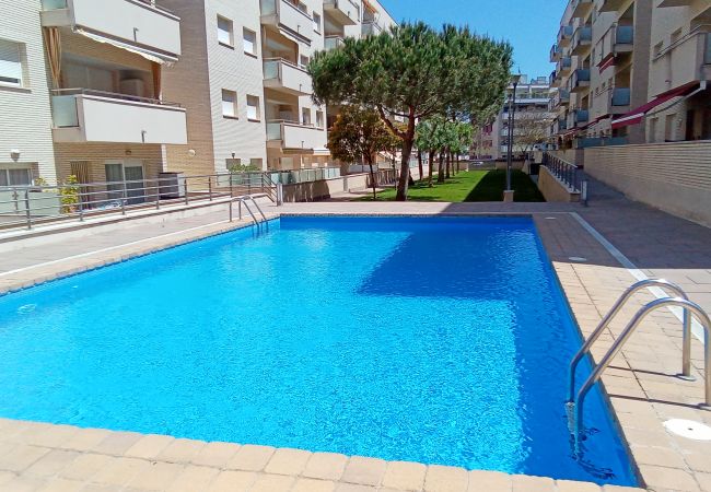 Apartment in Lloret de Mar - Vivalidays Alicia - Fenals - LLoret de Apartment in Lloret de Mar - Vivalidays Alicia - Fenals - LLoret de