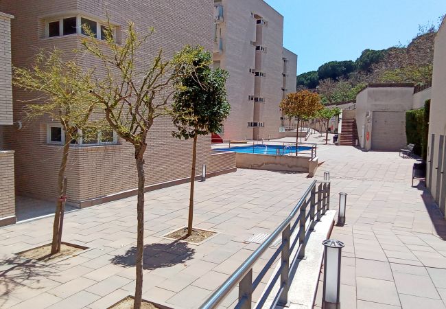 Apartment in Lloret de Mar - Vivalidays Alicia - Fenals - LLoret de Apartment in Lloret de Mar - Vivalidays Alicia - Fenals - LLoret de