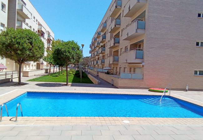 Apartment in Lloret de Mar - Vivalidays Alicia - Fenals - LLoret de Apartment in Lloret de Mar - Vivalidays Alicia - Fenals - LLoret de