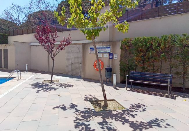 Apartment in Lloret de Mar - Vivalidays Alicia - Fenals - LLoret de Apartment in Lloret de Mar - Vivalidays Alicia - Fenals - LLoret de
