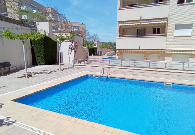 Apartment in Lloret de Mar - Vivalidays Alicia - Fenals - LLoret de Apartment in Lloret de Mar - Vivalidays Alicia - Fenals - LLoret de