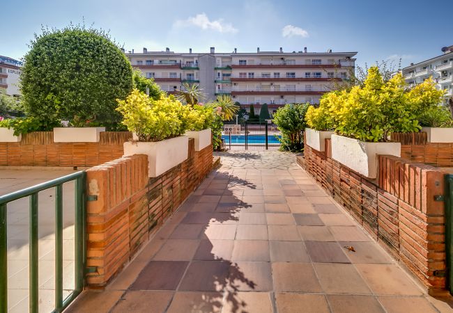 Apartment in Blanes - Vivalidays Edurne - Blanes - Costa Brava Apartment in Blanes - Vivalidays Edurne - Blanes - Costa Brava
