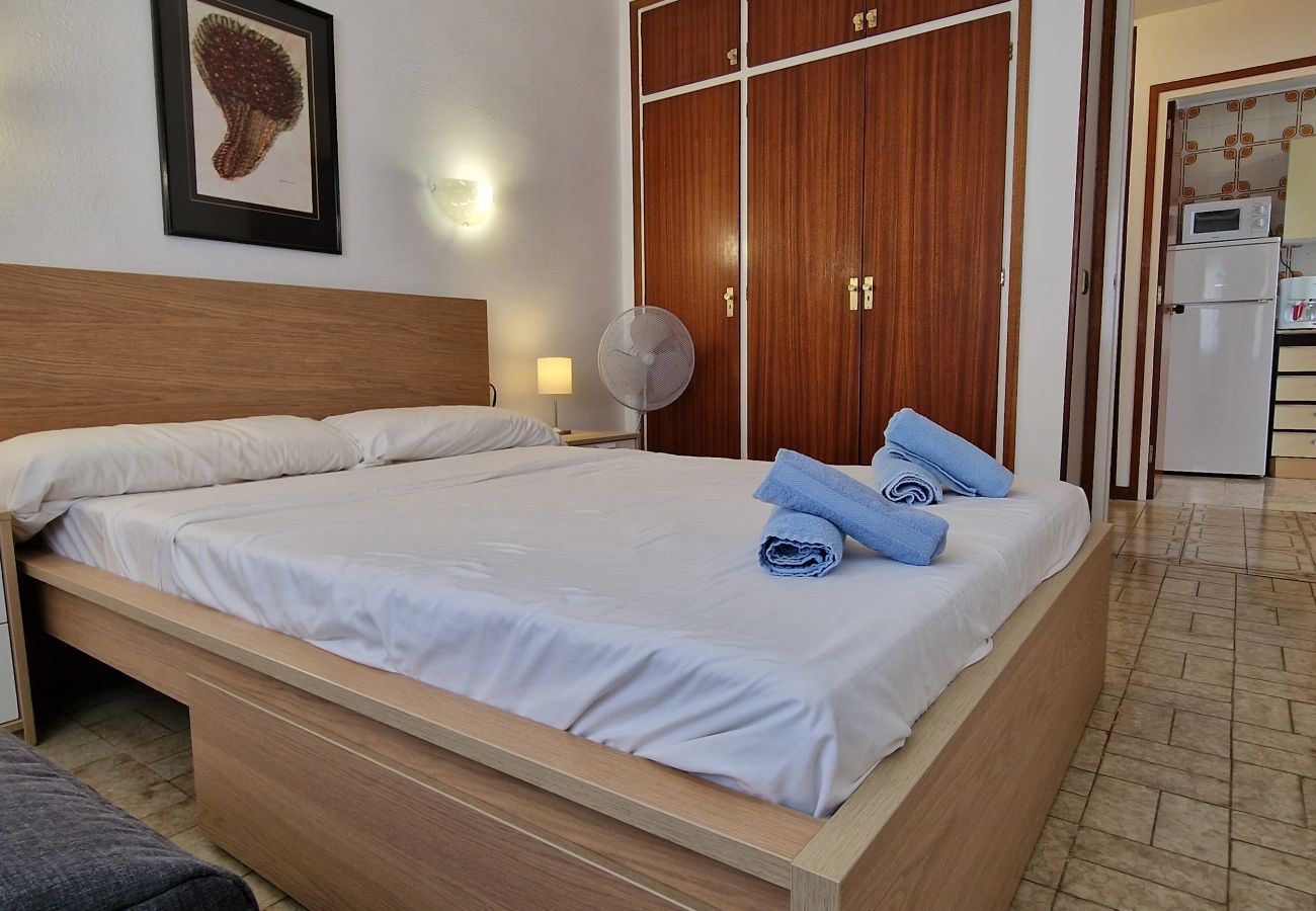 Apartment in Santa Susana - Vivalidays Luis - Santa Susanna Apartment in Santa Susana - Vivalidays Luis - Santa Susanna