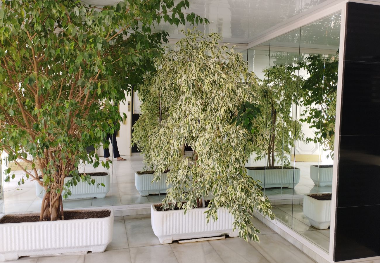 Studio in Lloret de Mar - Vivalidays Lara - Fenals - LLoret de Mar Studio in Lloret de Mar - Vivalidays Lara - Fenals - LLoret de Mar