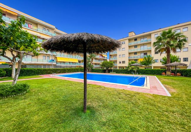 Apartment in Lloret de Mar - Vivalidays Elia - Fenals - LLoret de Mar Apartment in Lloret de Mar - Vivalidays Elia - Fenals - LLoret de Mar