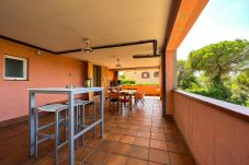 House in Tordera - Vivalidays Gala - Tordera 