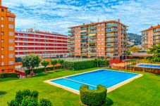 Appartement à Santa Susana - Vivalidays Luis - Santa Susanna