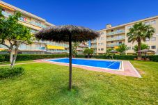 Appartement à Lloret de Mar - Vivalidays Elia - Fenals - LLoret de Mar