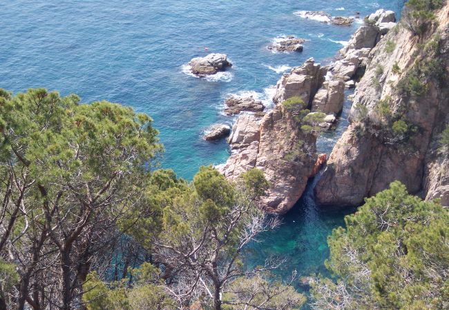 Maison à Palamós - Vivalidays Casa Palamos - Costa Brava Maison à Palamós - Vivalidays Casa Palamos - Costa Brava