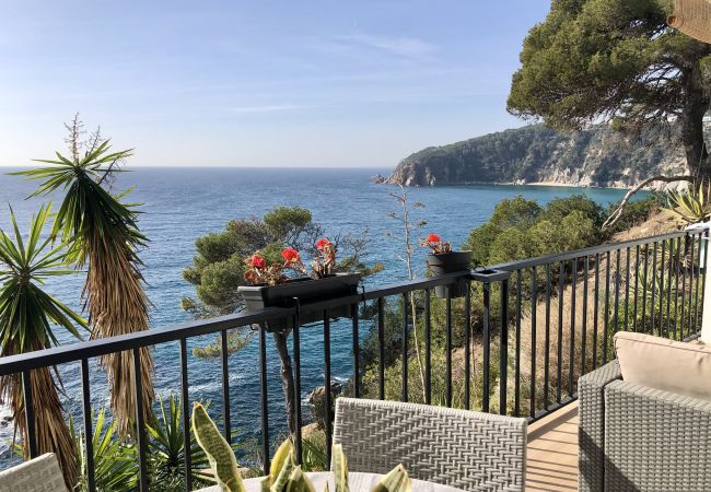 Piatta a Tossa de Mar - Cala LLevadó - Tossa de Mar  Piatta a Tossa de Mar - Cala LLevadó - Tossa de Mar