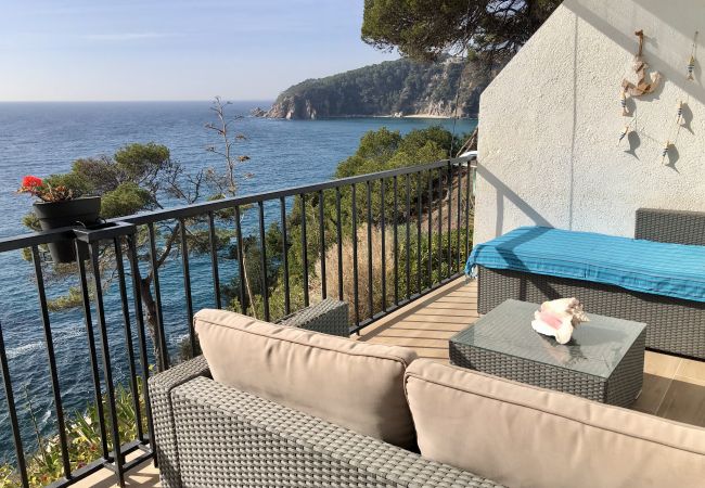 Piatta a Tossa de Mar - Cala LLevadó - Tossa de Mar  Piatta a Tossa de Mar - Cala LLevadó - Tossa de Mar