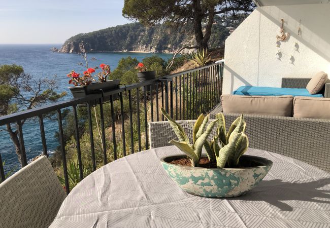 Piatta a Tossa de Mar - Cala LLevadó - Tossa de Mar  Piatta a Tossa de Mar - Cala LLevadó - Tossa de Mar
