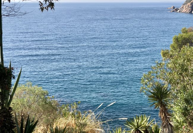Piatta a Tossa de Mar - Cala LLevadó - Tossa de Mar  Piatta a Tossa de Mar - Cala LLevadó - Tossa de Mar