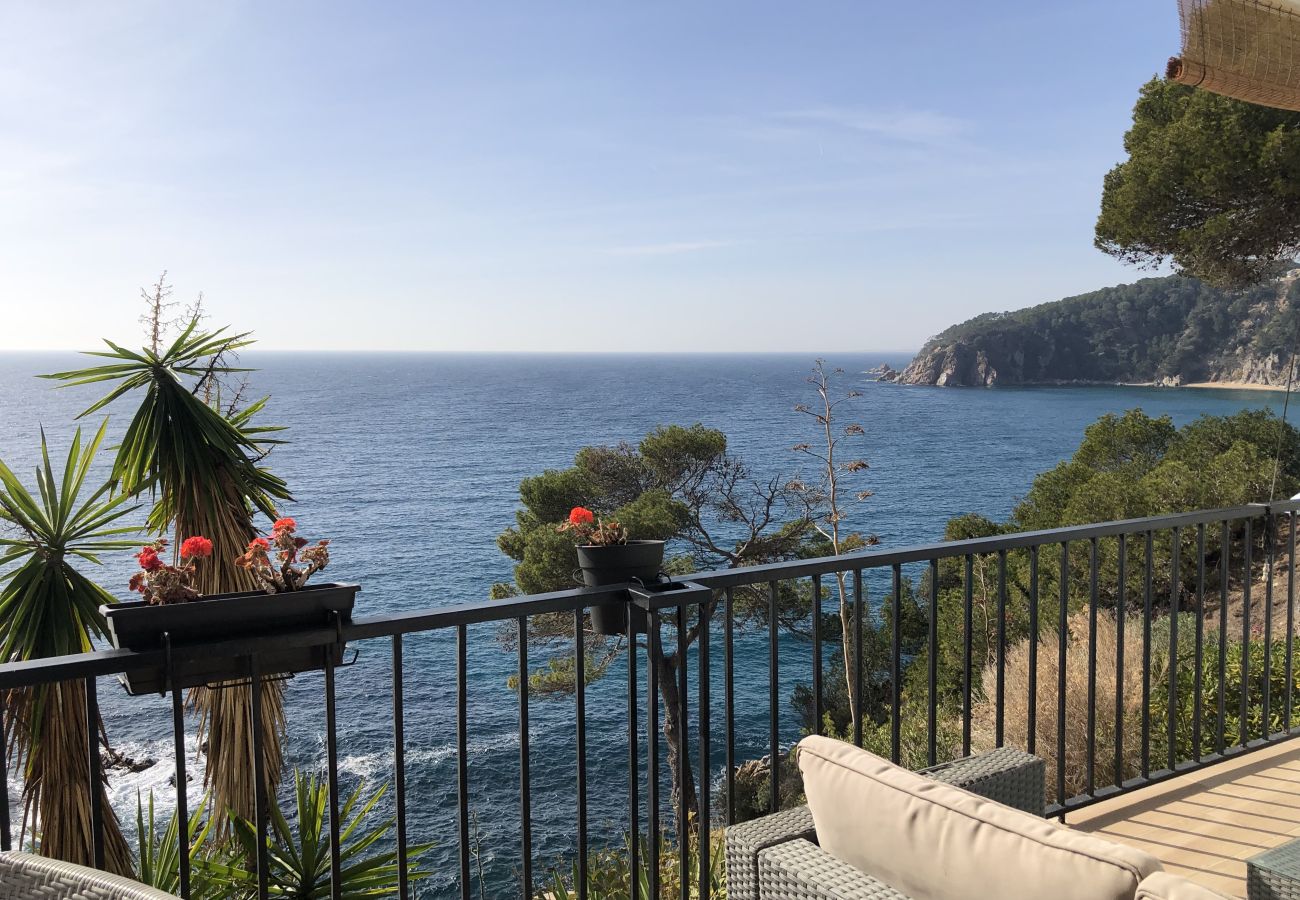 Piatta a Tossa de Mar - Cala LLevadó - Tossa de Mar  Piatta a Tossa de Mar - Cala LLevadó - Tossa de Mar