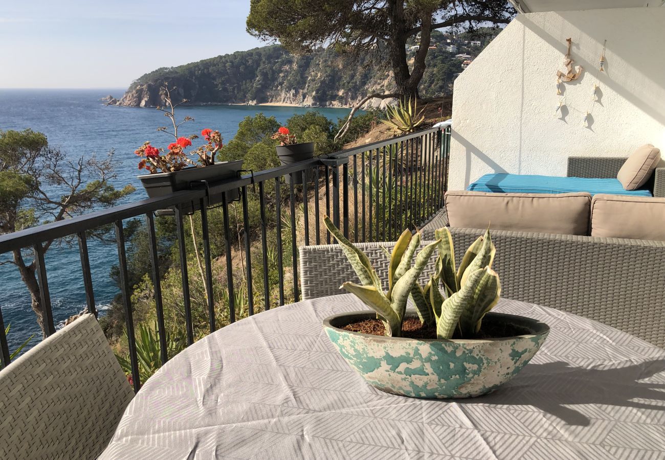 Piatta a Tossa de Mar - Cala LLevadó - Tossa de Mar  Piatta a Tossa de Mar - Cala LLevadó - Tossa de Mar