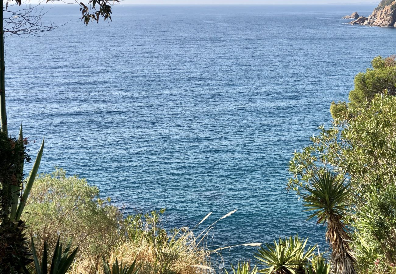 Piatta a Tossa de Mar - Cala LLevadó - Tossa de Mar  Piatta a Tossa de Mar - Cala LLevadó - Tossa de Mar