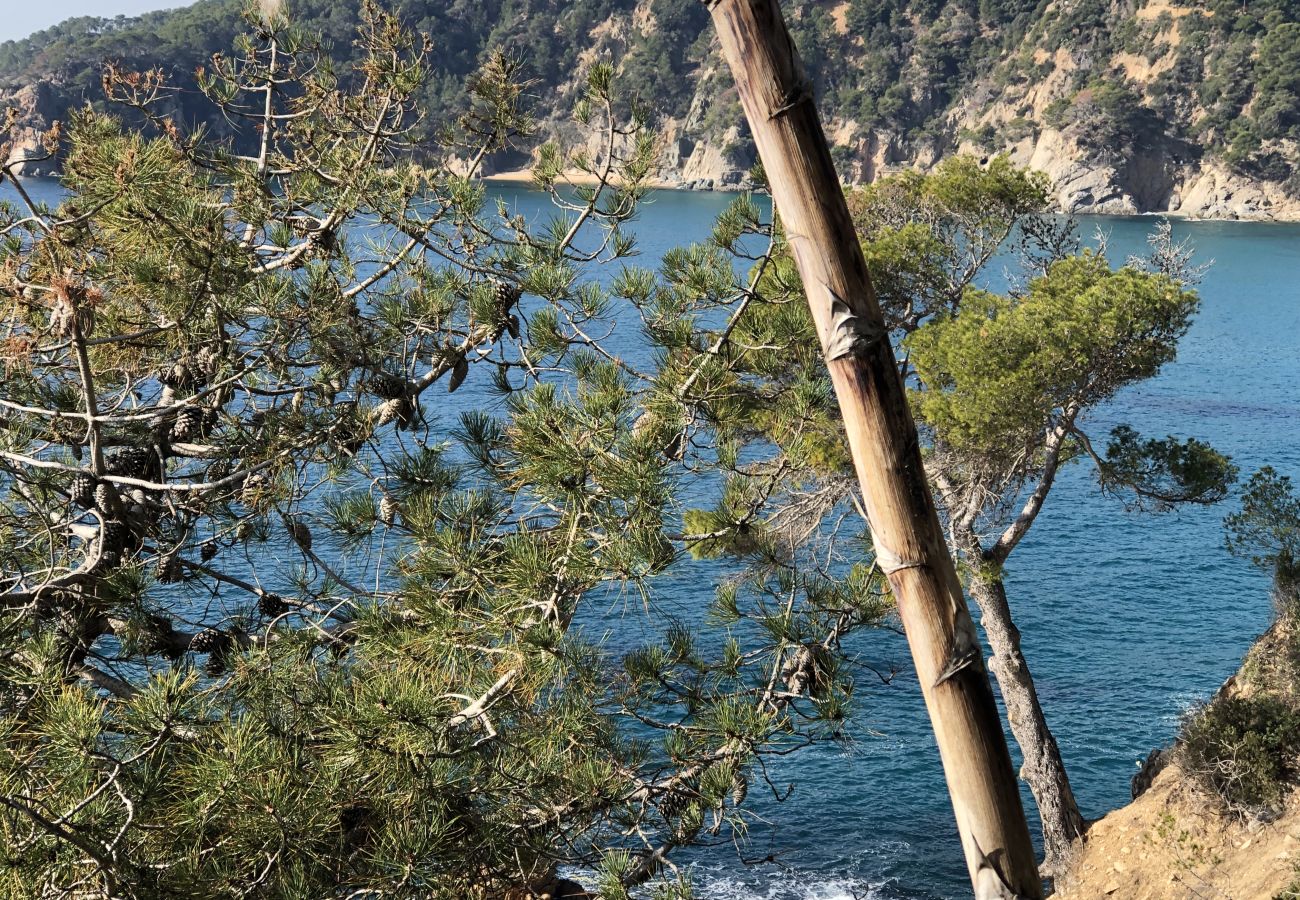 Piatta a Tossa de Mar - Cala LLevadó - Tossa de Mar  Piatta a Tossa de Mar - Cala LLevadó - Tossa de Mar