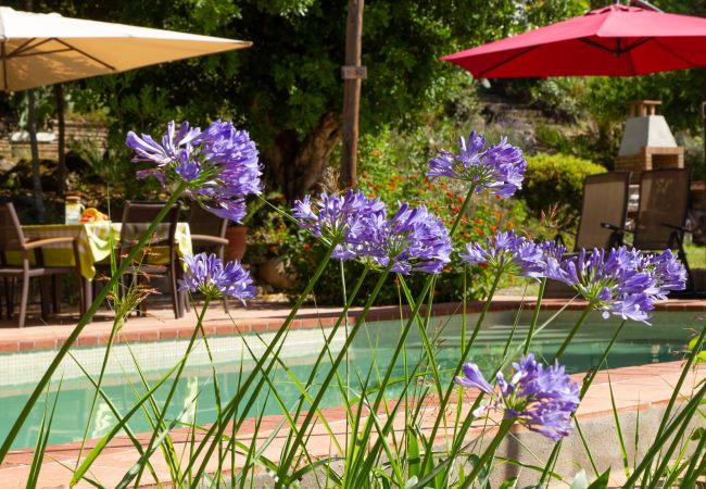 Villa a Santa Susana / Santa Susanna - Vivalidays Can Rabassa - Sta Susanna - Temporal  Villa a Santa Susana / Santa Susanna - Vivalidays Can Rabassa - Sta Susanna - Temporal